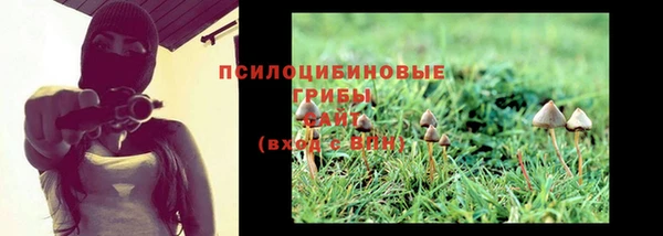 spice Липки