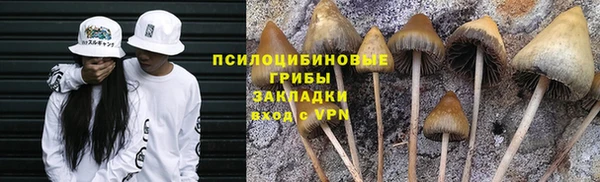 прущая мука Балахна